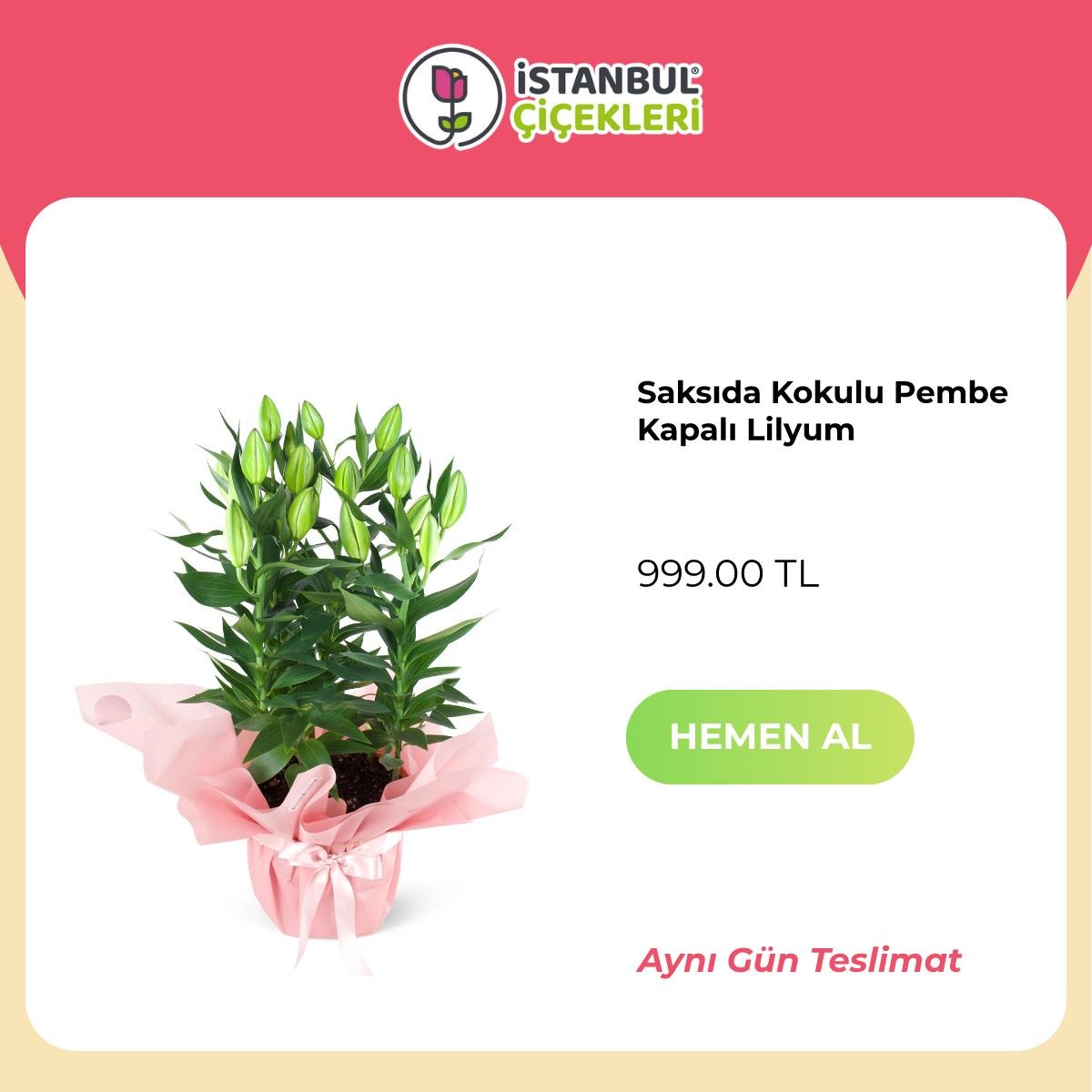 Istanbul Cicekleri — Flores y regalos